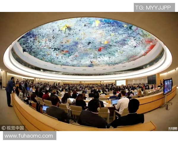 如何购买法国对冰岛比赛的门票及相关信息指南